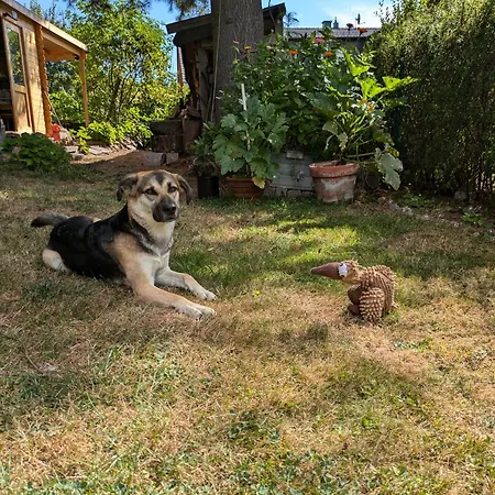 20qmchemnitz Apartamento *