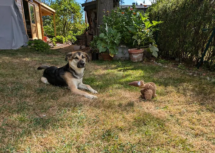 20qmchemnitz Apartamento *